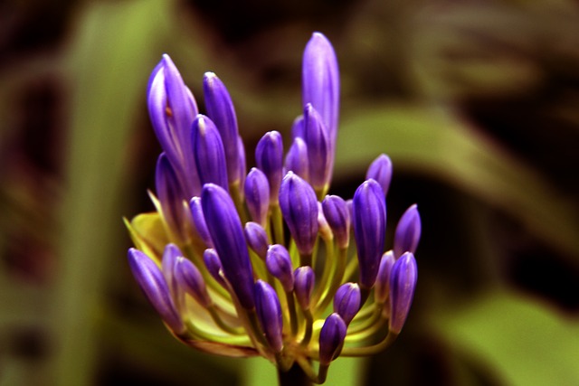 运动的未来 运动的未来