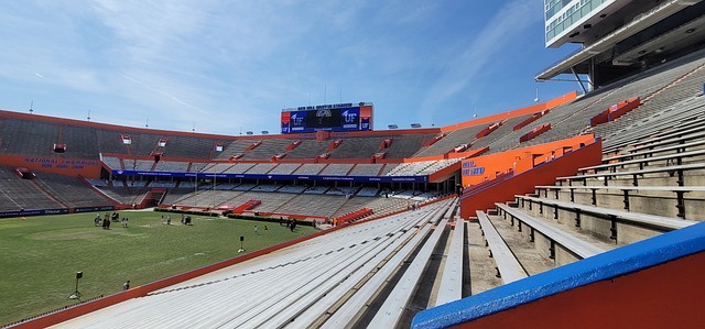 不仅仅是体 不仅仅是体