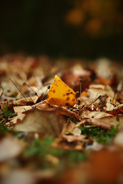 阿根廷不仅 阿根廷不仅