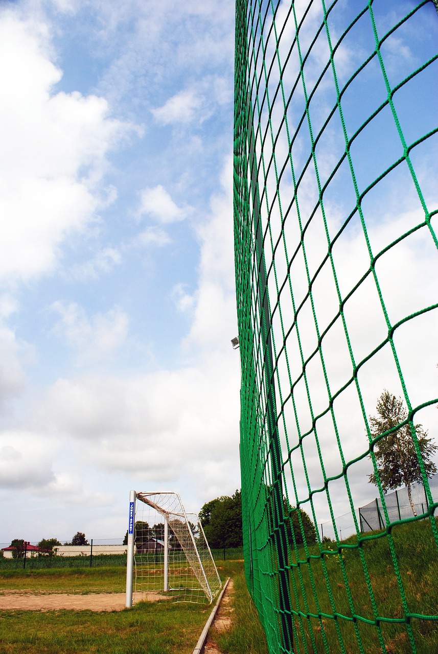 在上赛季与 在上赛季与