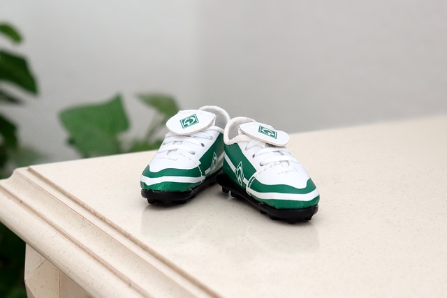 纷以场上亮 纷以场上亮