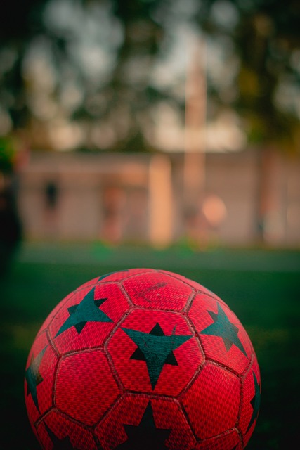 提供了一個 提供了一個