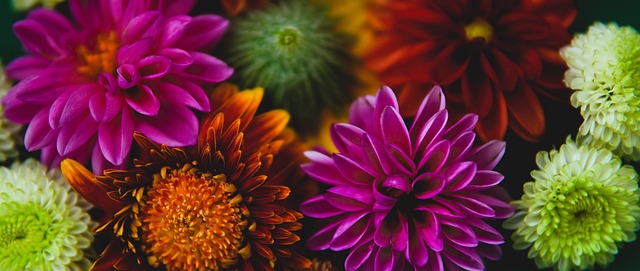 练的有效管 练的有效管