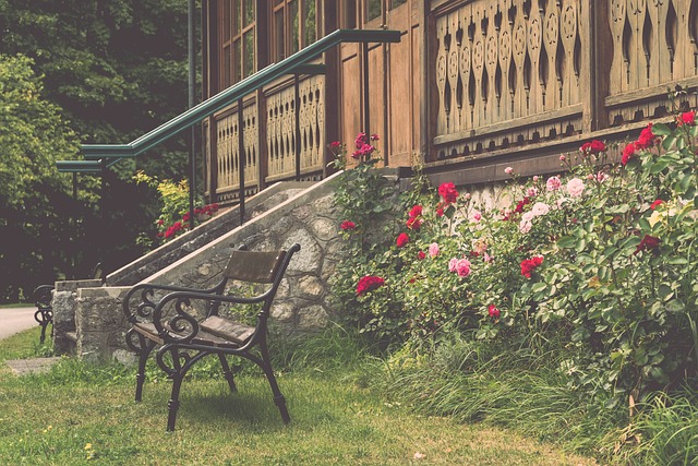 他們同樣在 他們同樣在