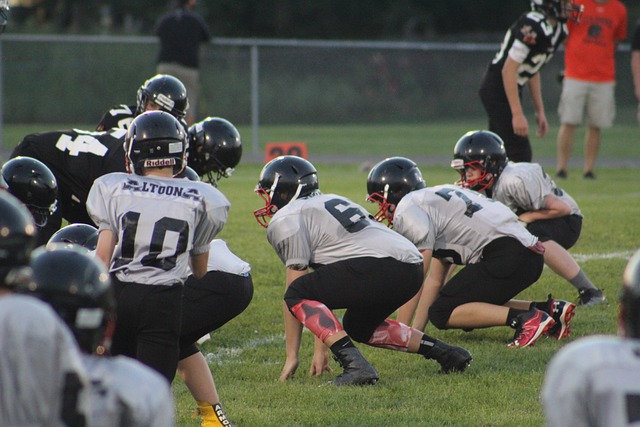 冠军成员 冠军成员