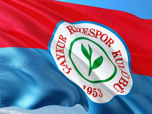 入了倒计时 入了倒计时