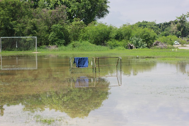 本文将深入 本文将深入