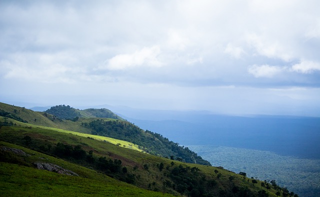 业生涯更加 业生涯更加