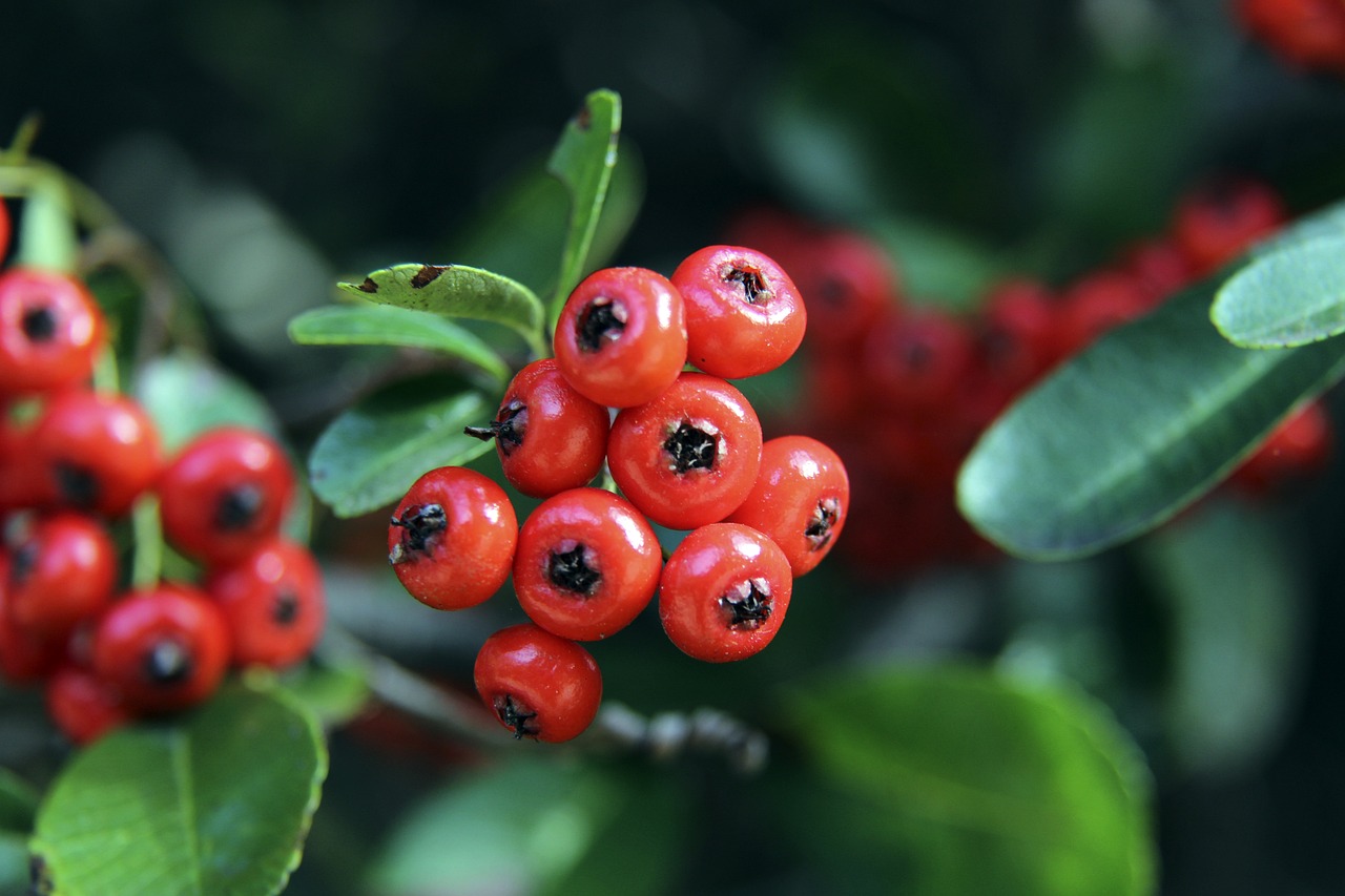 這無疑為球 這無疑為球