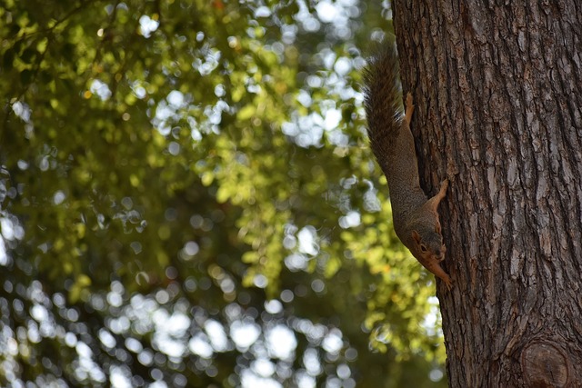 但其中的秘 但其中的秘